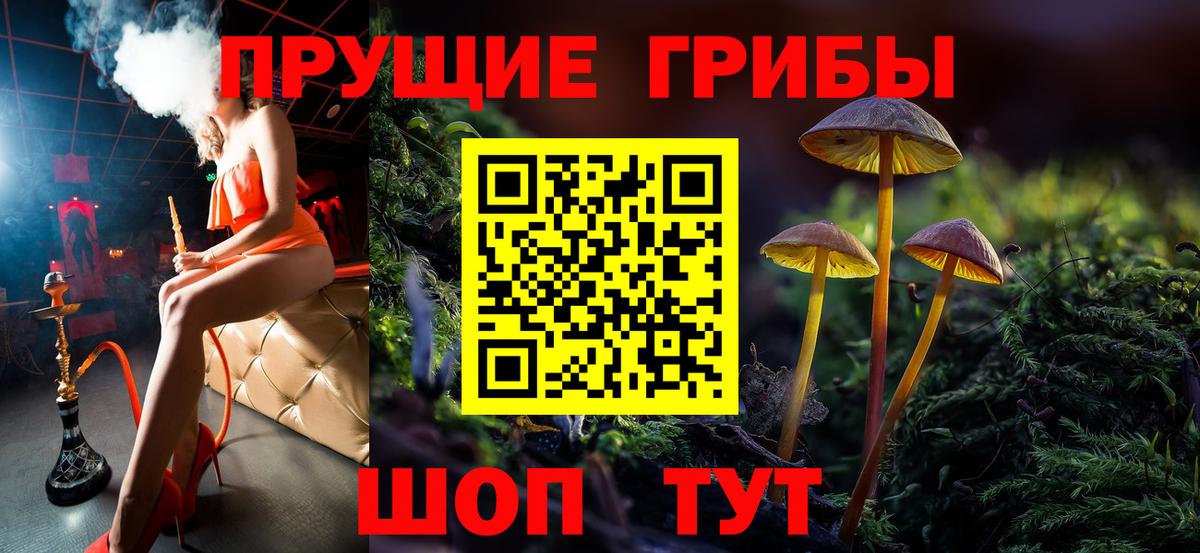 Псилоцибиновые грибы Cubensis Кинель