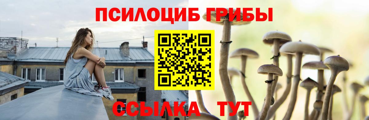 Галлюциногенные грибы Psilocybine cubensis  Вход с VPN  Кинель 