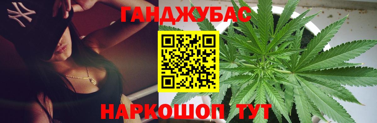 Каннабис план Кинель